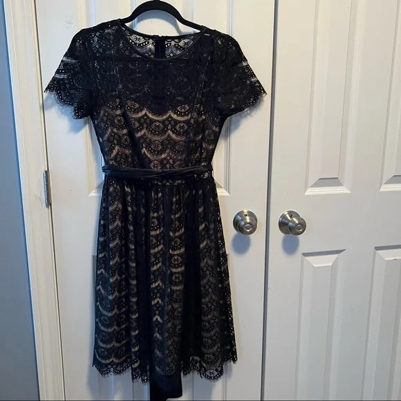 halter lace mini dress Sonella Lace Halter Mini Dress | Blue | Womens
